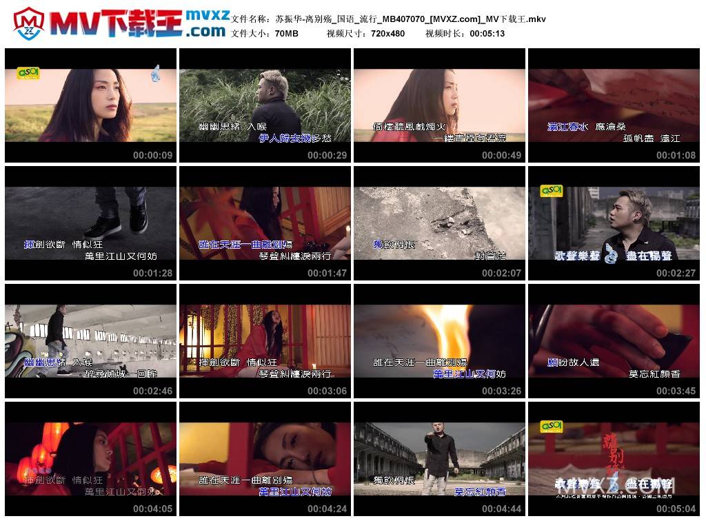 苏振华-离别殇_国语_流行_MB407070